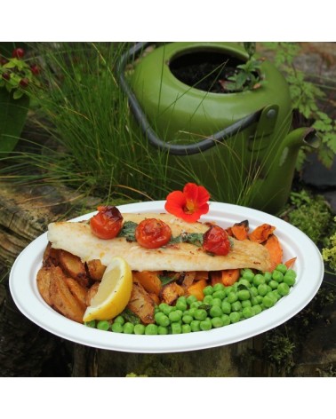 PLATO CARTÓN CAÑA DE AZUCAR OVALADO 26 x 19 CM. 