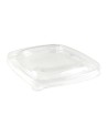 TAPA PET BOWL CUADRADO BE PULP 750 CC 17 x 17 cm (300 Und Caja)