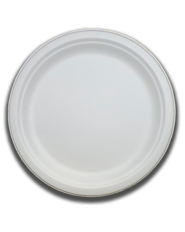 PLATO LLANO DE CAÑA DE AZUCAR DE 22 CM GRANDE (500 UD./CAJA)