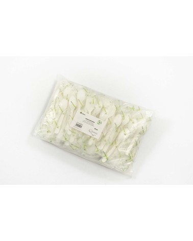 CUCHARILLA POSTRE DE MAIZ DE 125 mm (1500 Und Caja)